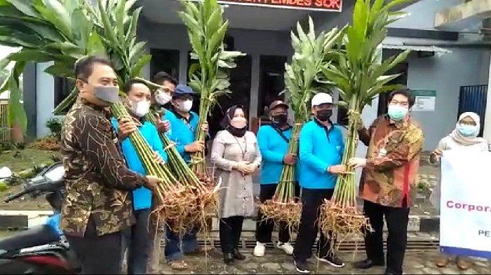 Kecamatan Gomo dan Potensi Kapulaga sebagai Komoditas Unggulan